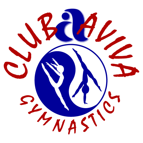 2023 Aviva Cup logo