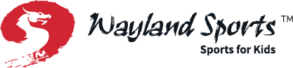 Wayland Sports Dragon Cup 2020 logo
